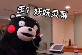 玉树企业清欠服务